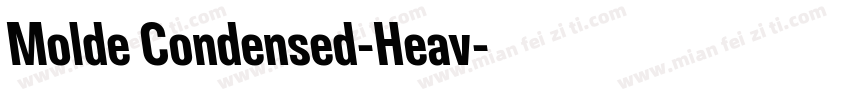 Molde Condensed-Heav字体转换